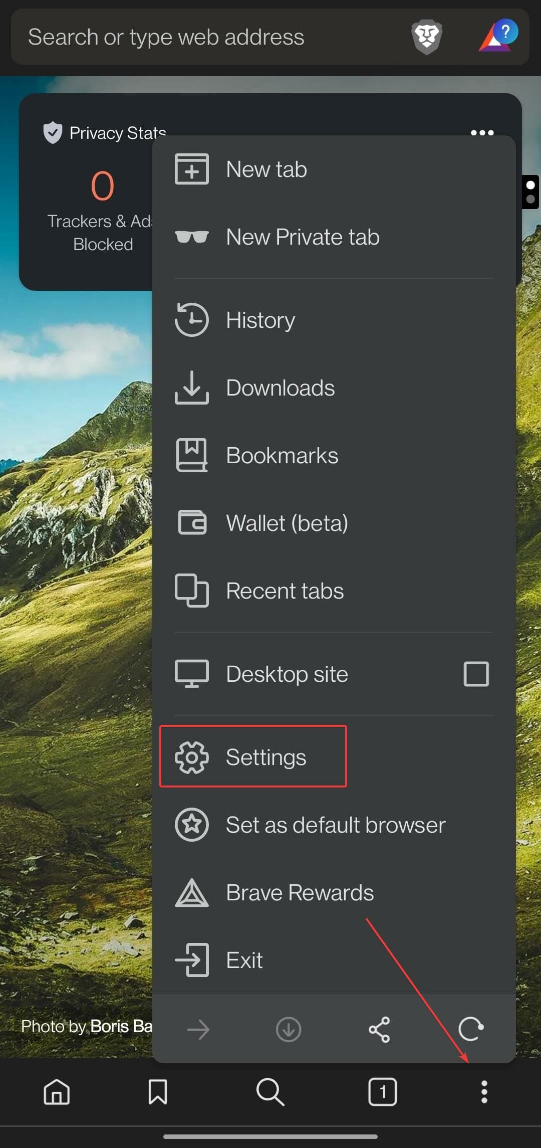 Open settings in Brave on mobile.