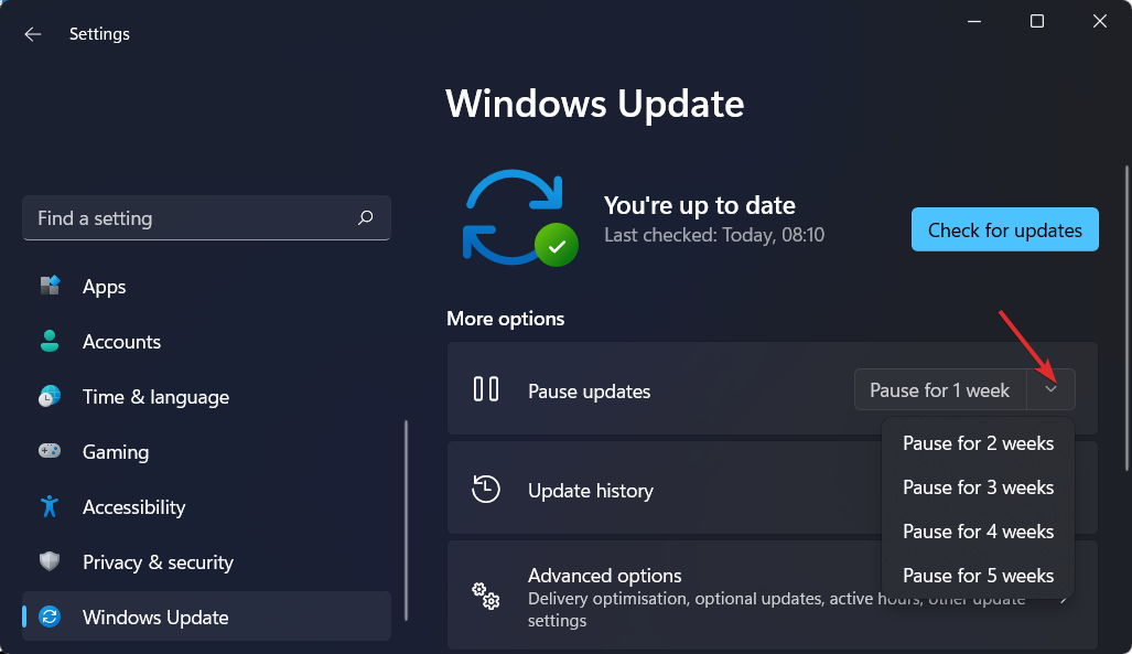 pausar actualizaciones error de Windows 11 después de la actualización