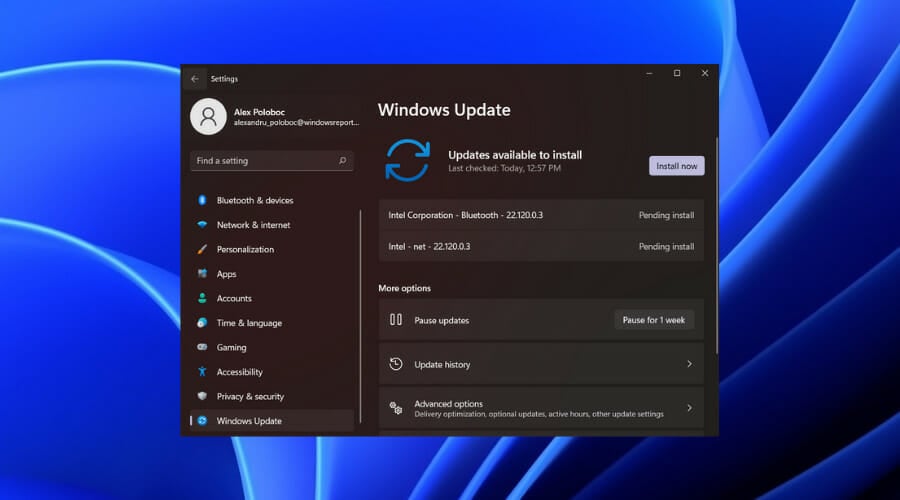 windows 11 update elden ring