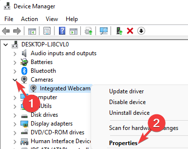 Right click on Integrated Webcam in Device Manager and select Properties