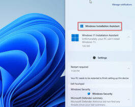 Fix: Windows 11 Installation Assistant Disappeared