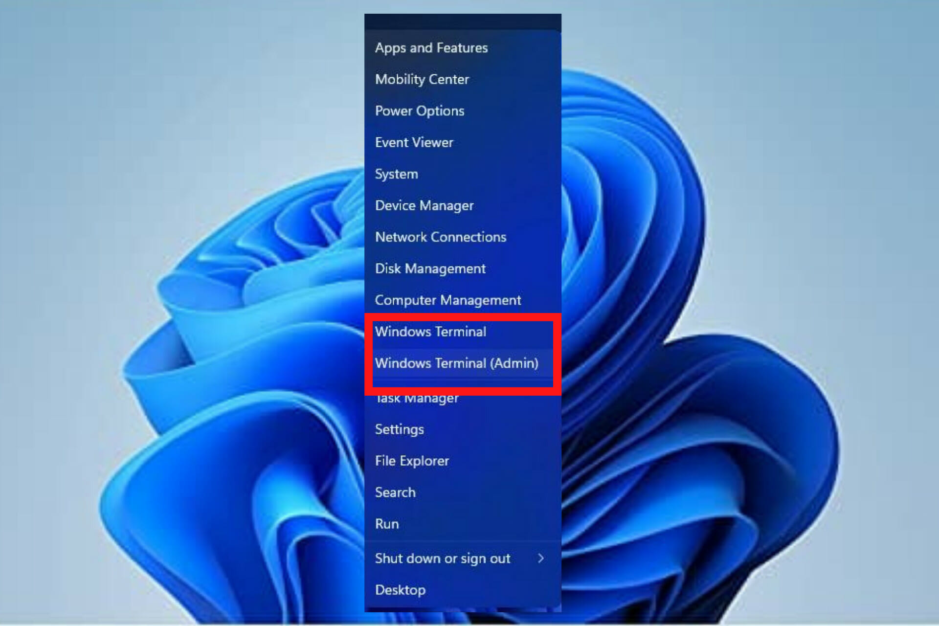 Windows 11 terminal settings