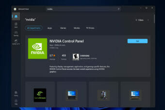 NVidia Control Panel Display Settings Missing [Windows 11 Fix]