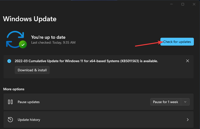 Check for updates button windows 11 no amd graphics driver is installed