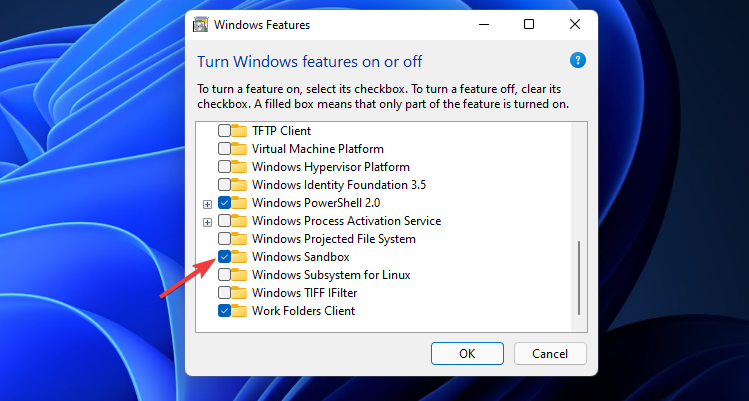 Windows Features window windows 11 sandbox no internet