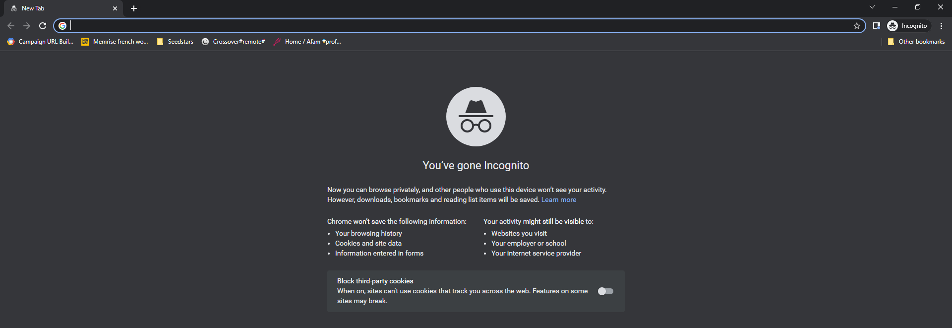 Google Must Face Suit Over Snooping on 'Incognito' Browsing