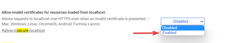chrome ignore certificate errors