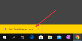 lockdown browser download