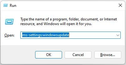 Run Windows Update