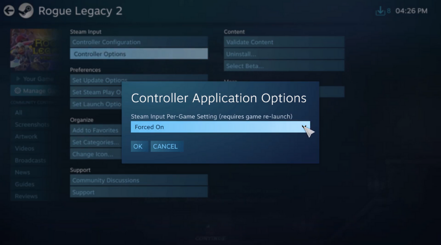 advanced controller options steam