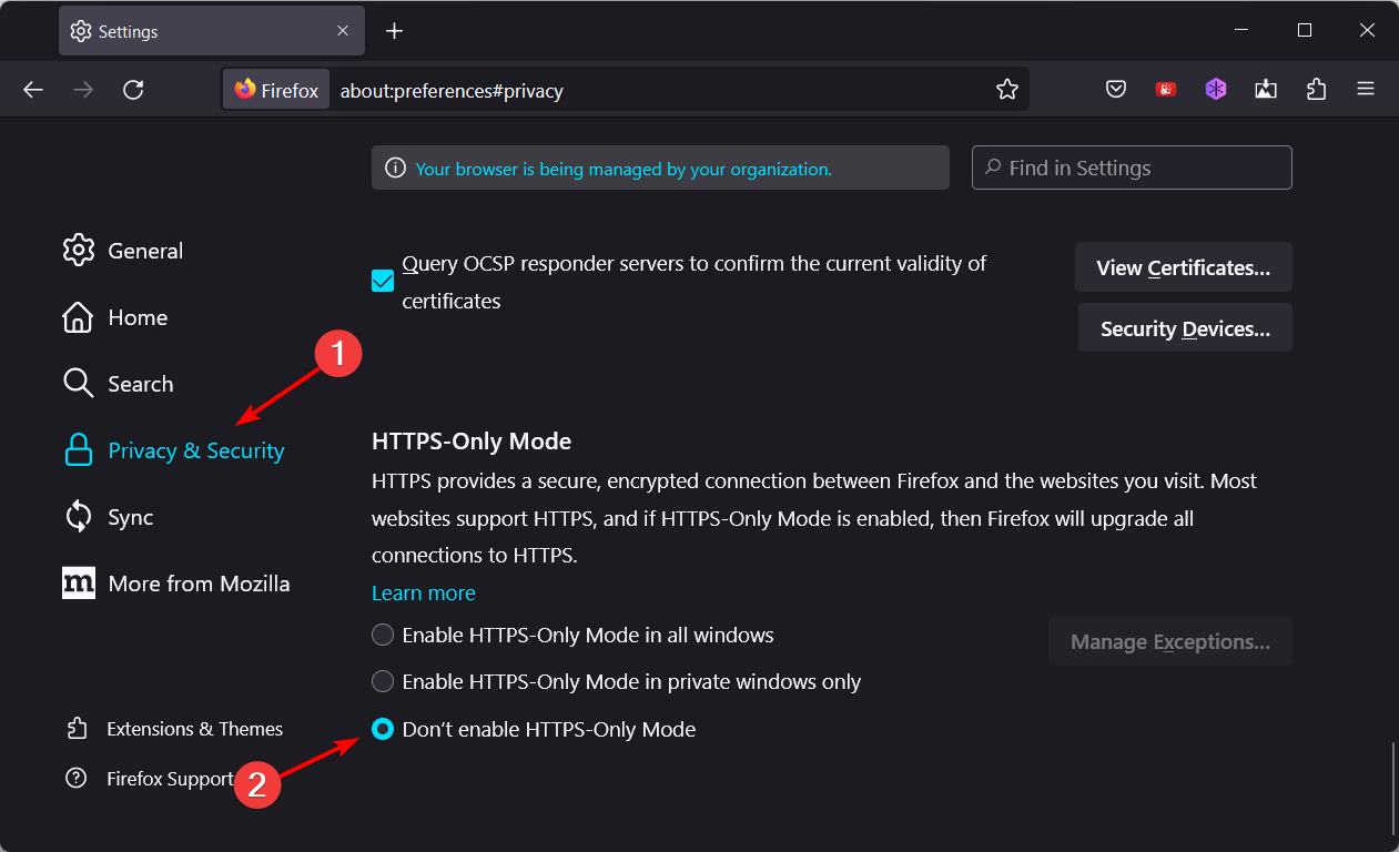 dont-enable-https-only firefox did not connect potential security issue