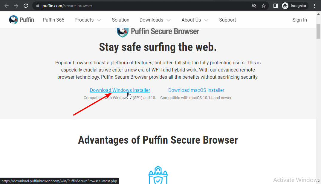 Download puffin browser