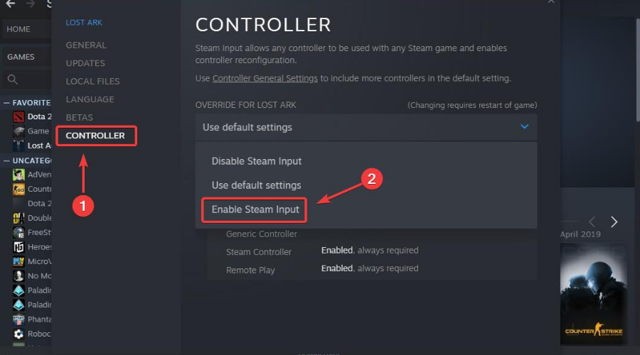 enable steam input controller