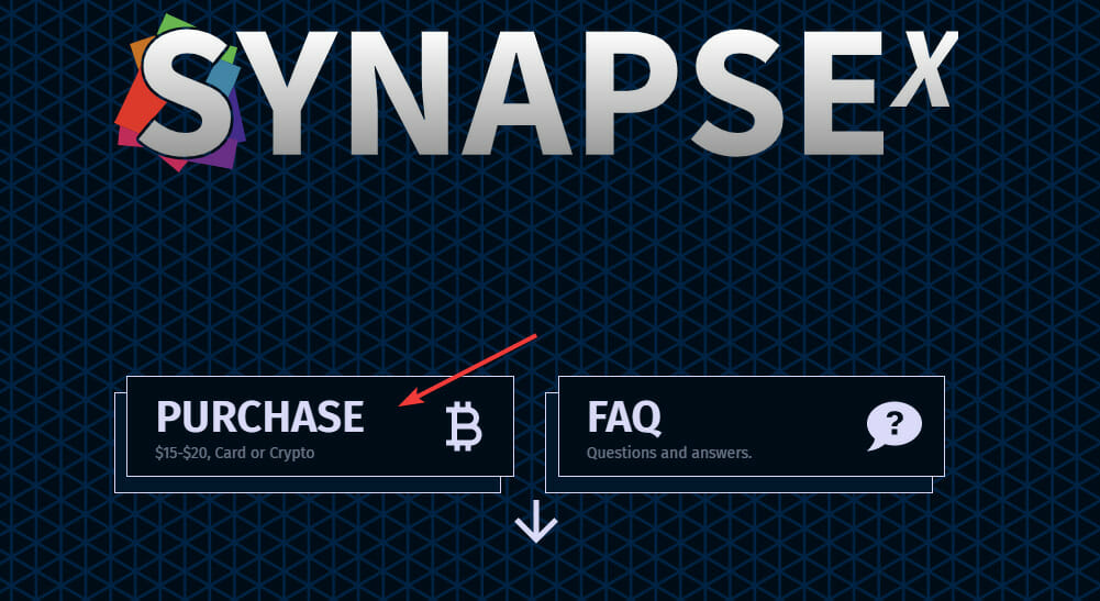 Why Is Synapse X Is Not Currently Not Available For Purchase & What to Do  Now? 