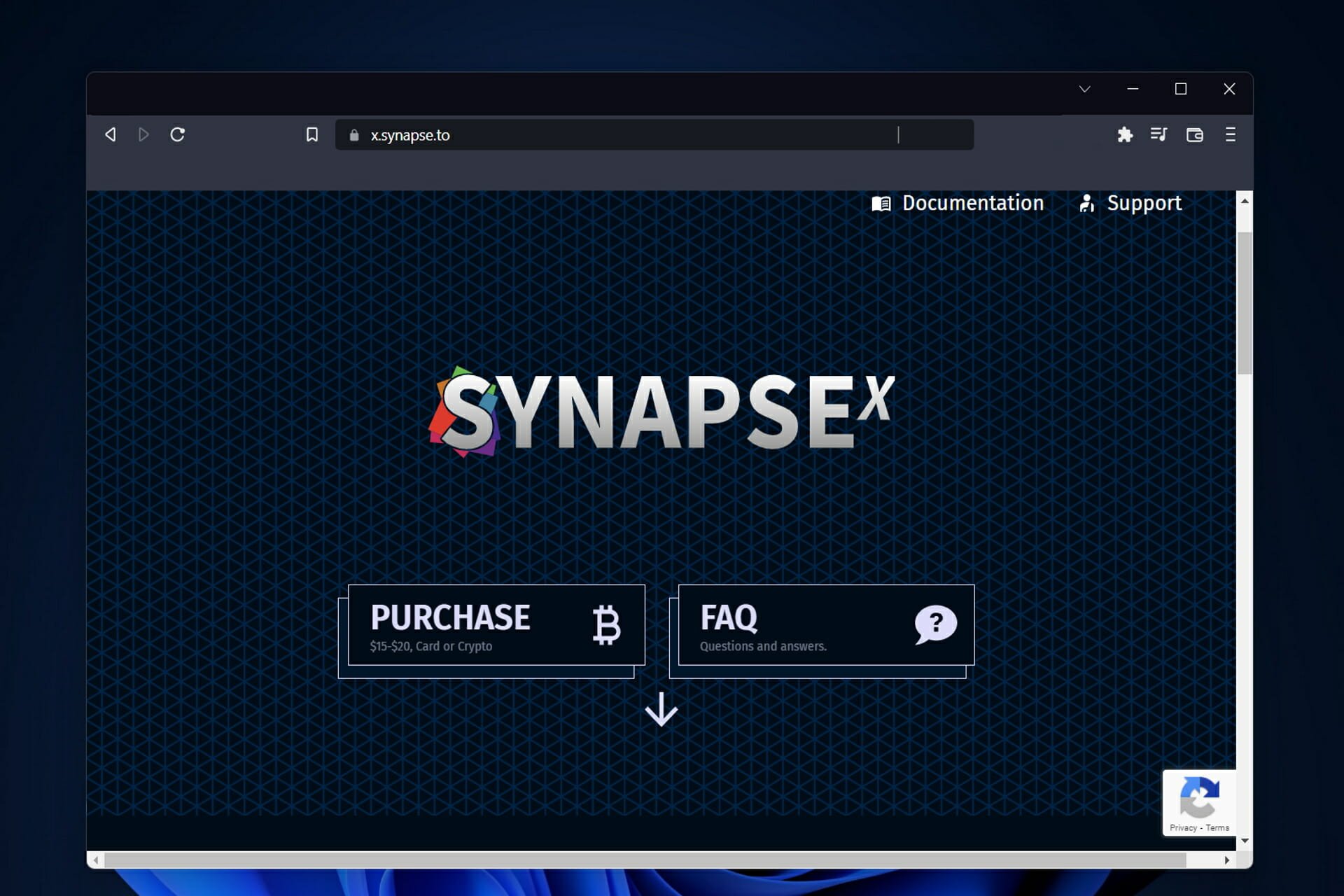 synapse synapse x not opening
