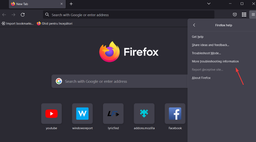 more troubleshooting information firefox