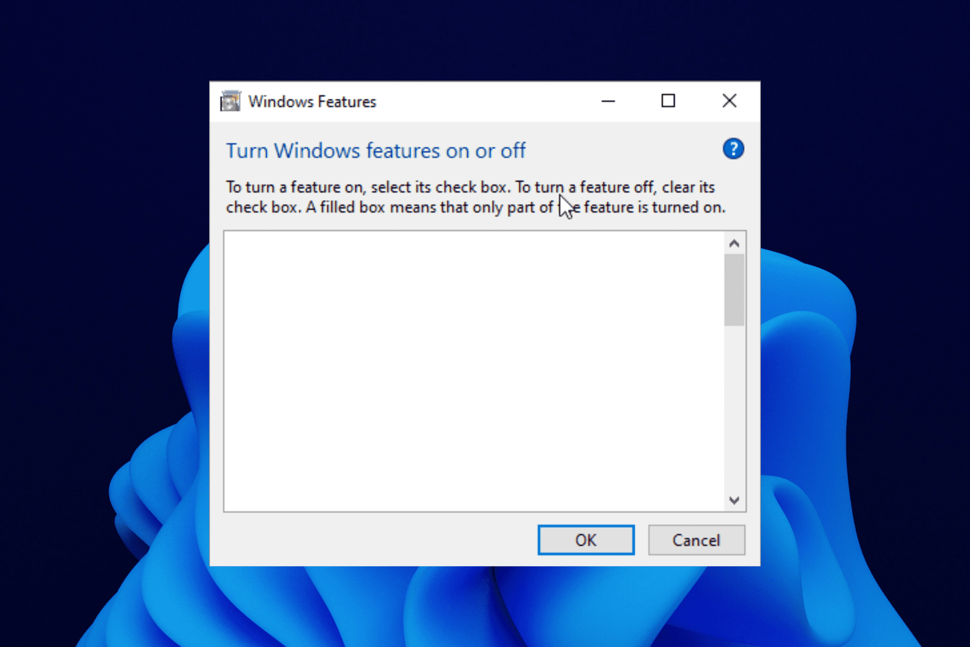 windows 11 optional features empty