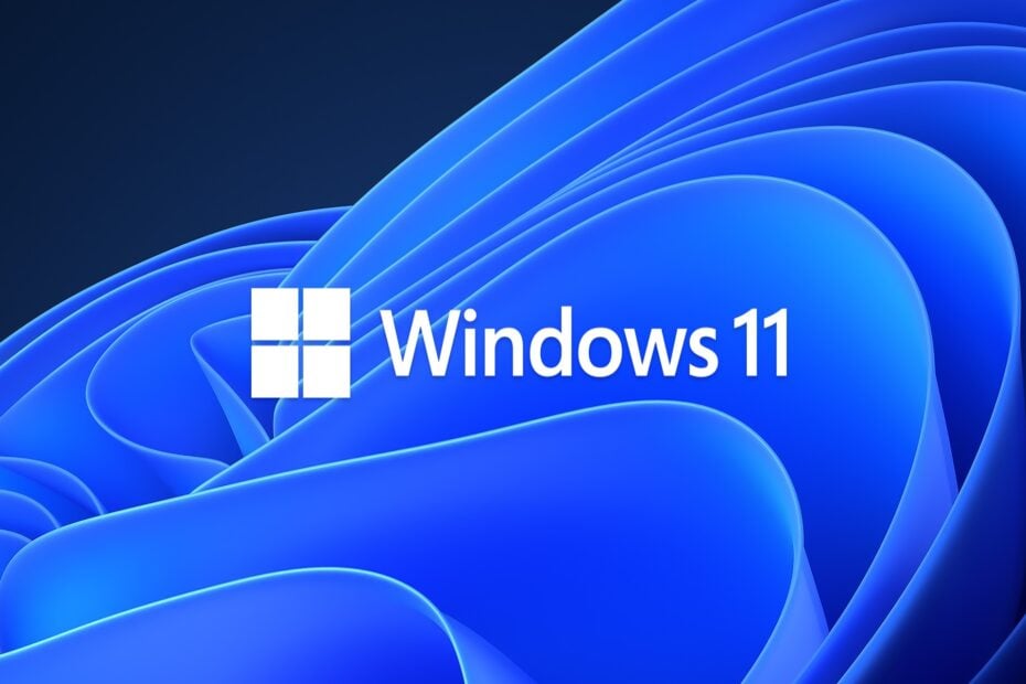 how to download windows 11 os