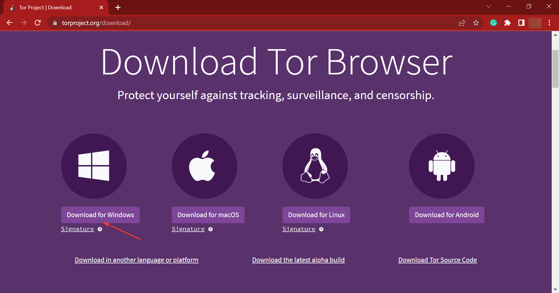 tor browser zip file download mega