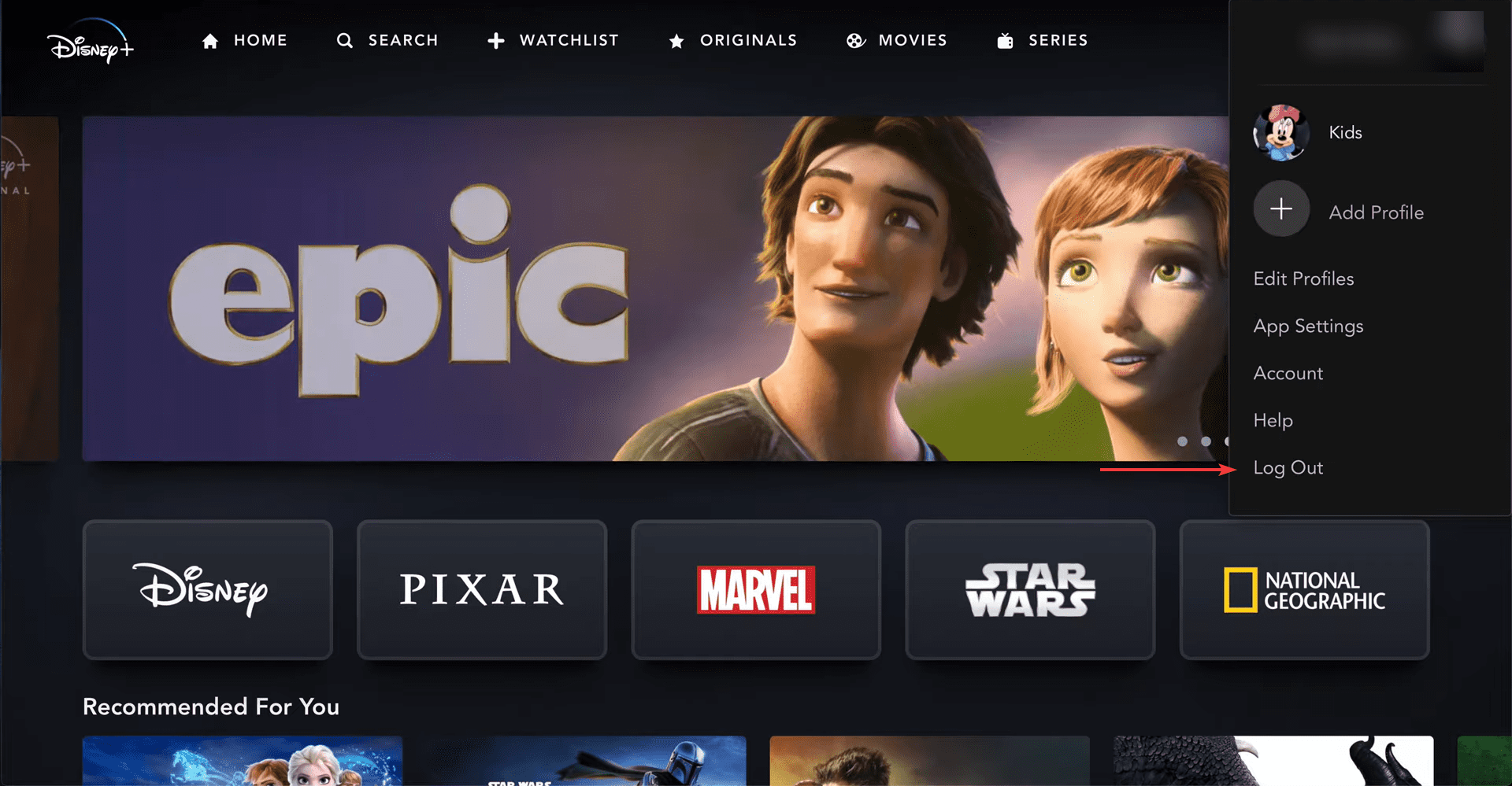 Log out to fix disney plus support error code 11
