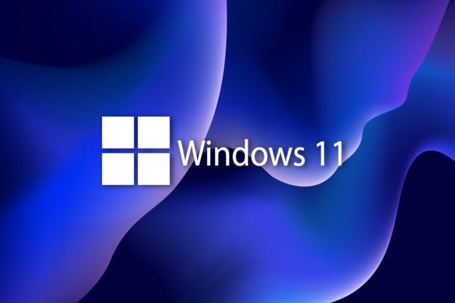 Microsoft Rolls Out New Windows 11 Validation Os