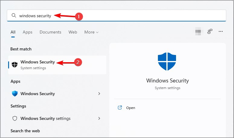 windows 11 security windows security search results