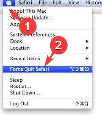 force quit safari