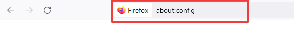 firefox server not found