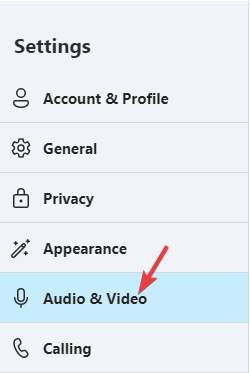 Skype audio & video