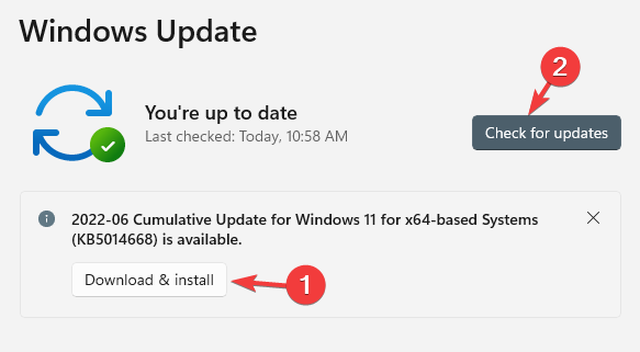 Download & install update