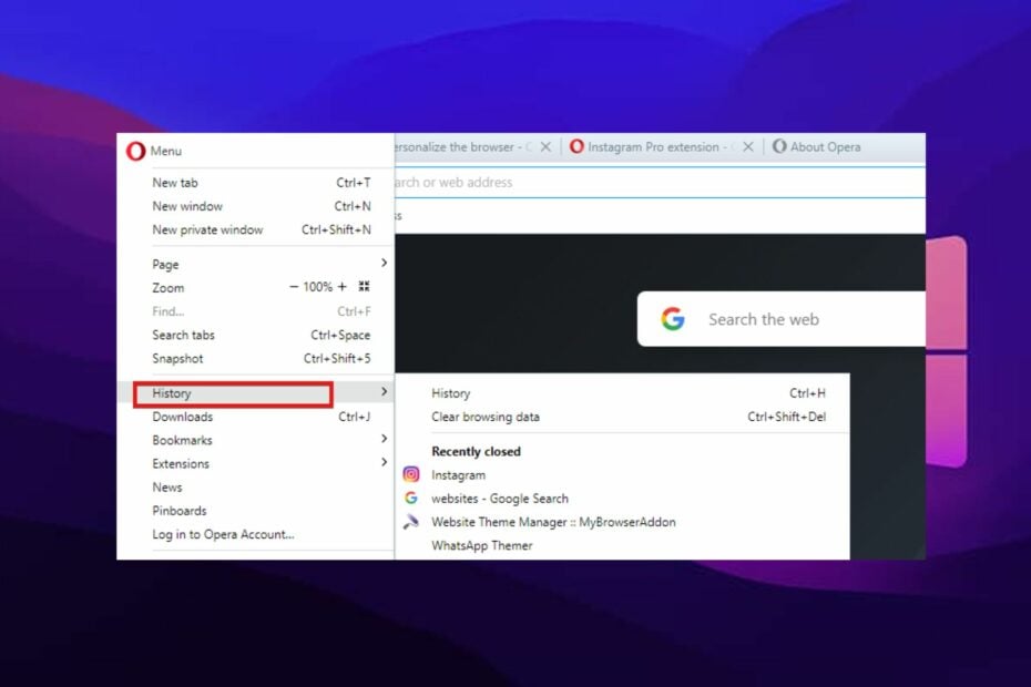 Opera Browser History File Location [How to Find It]