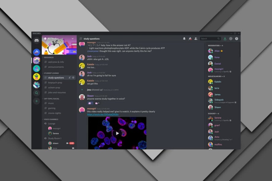 discord mute