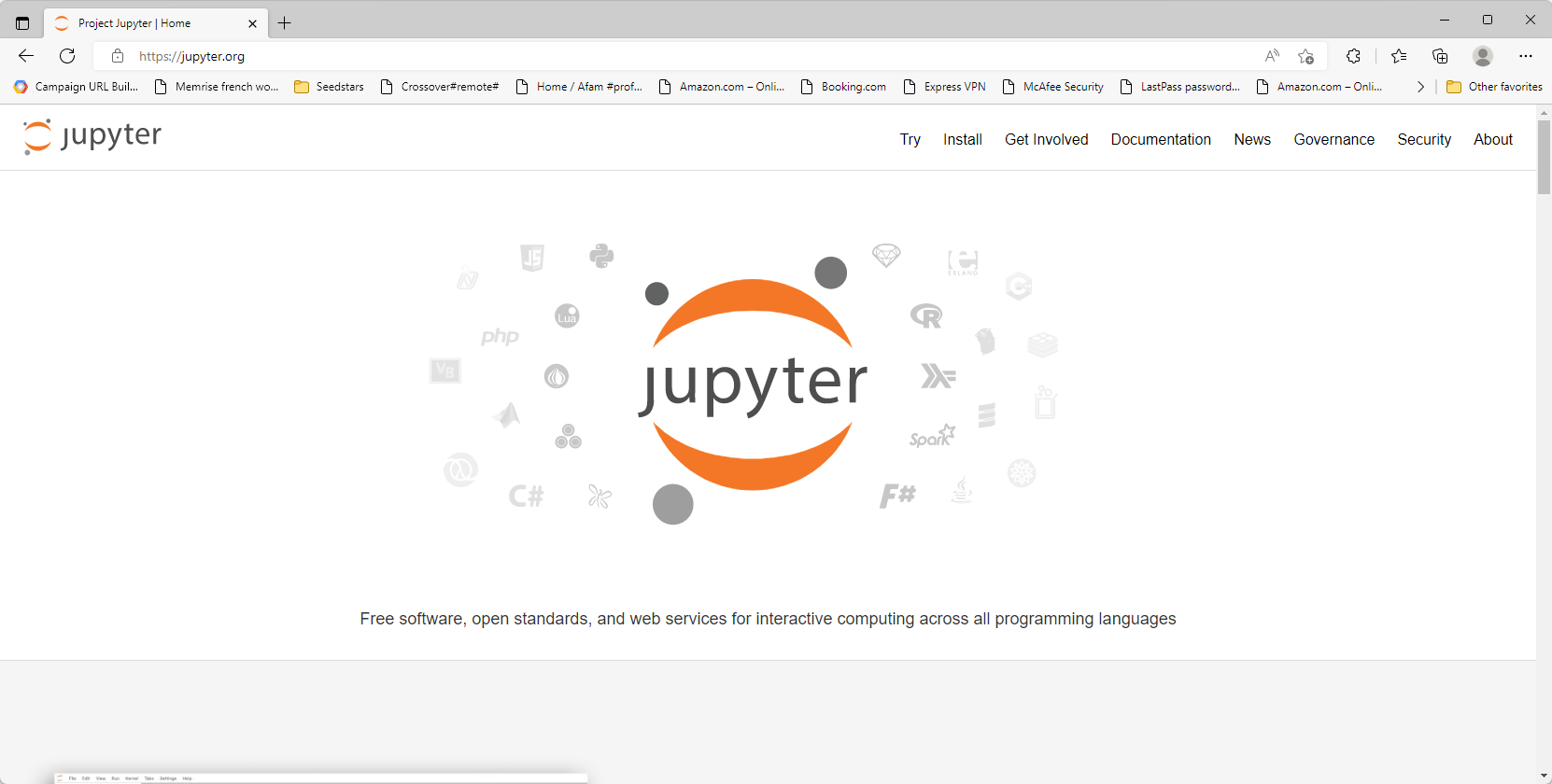 best browser for jupyter notebook