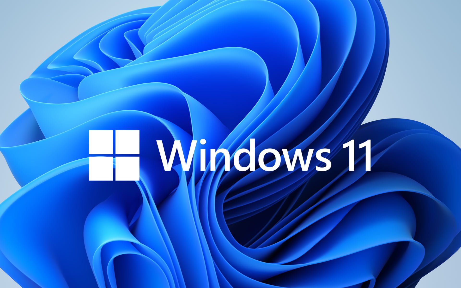 Check out Windows 11 Dev Build 25169: Full list of changes