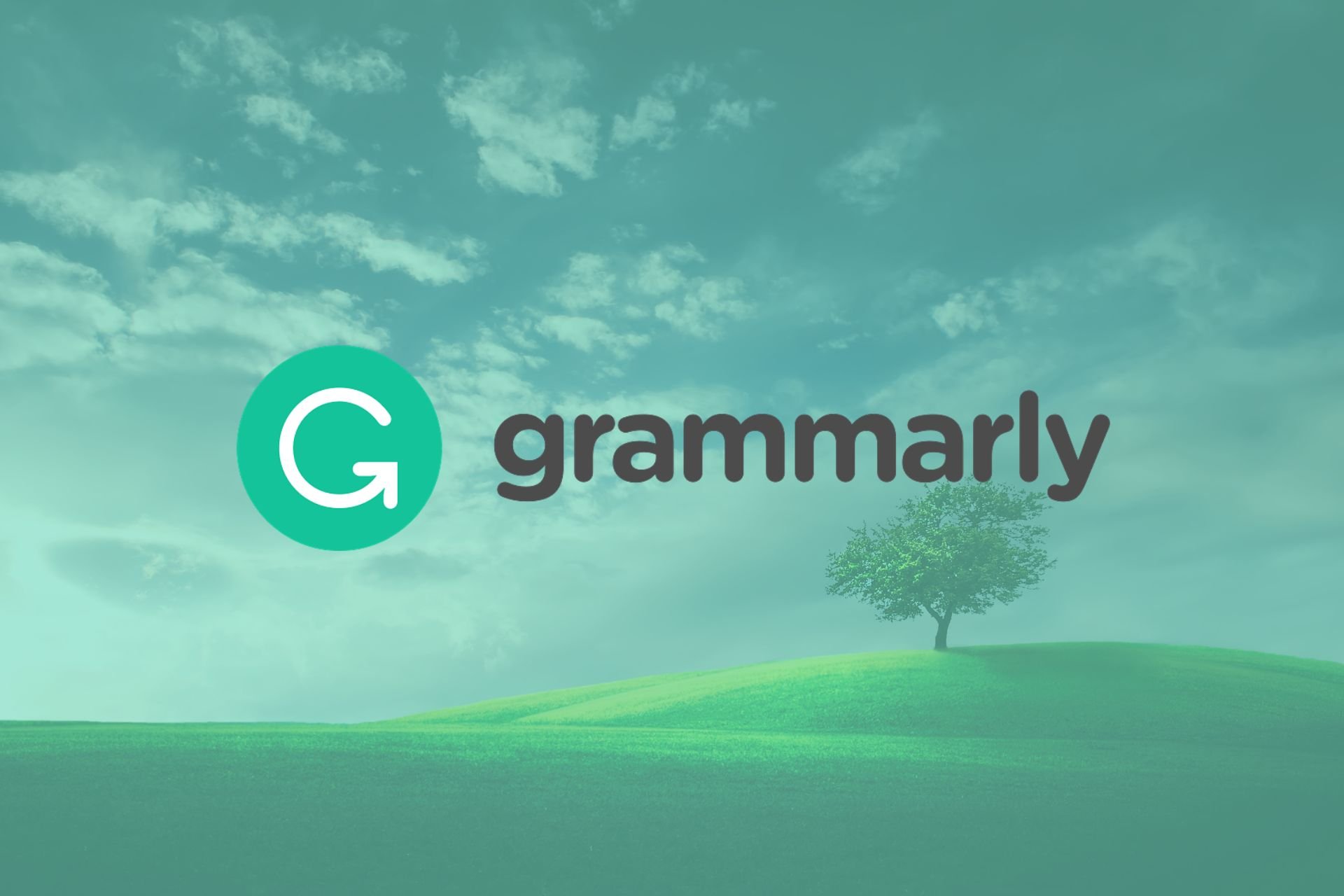 Grammarly is Not Working? You Can Fix it in 7 Steps