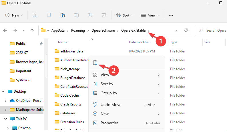 paste opera files and folder under opera gx