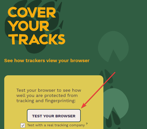 protect from browser leaks