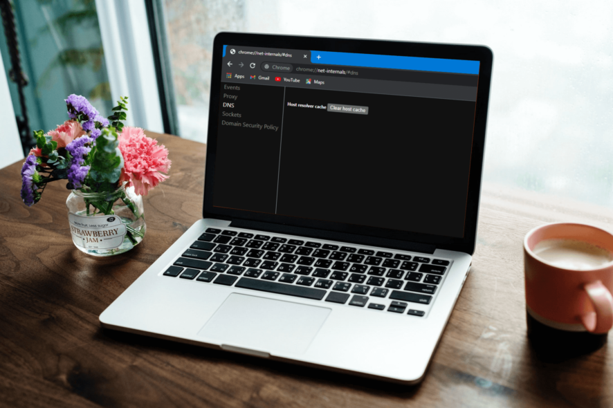 chrome://net-internals/#dns: What is & How to Clear Cache