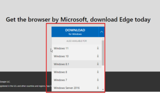 ms edge 32 bit