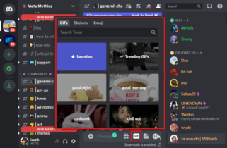 5 Ways to Fix Discord When GIFS Are Not Working or Loading