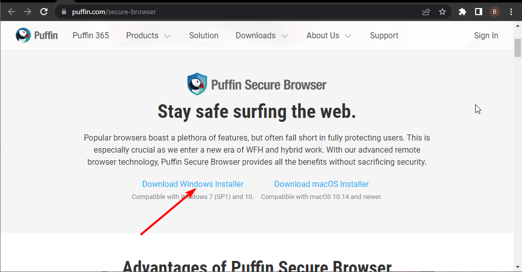 installer puffin browser download windows