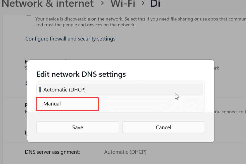 manual dns configuration