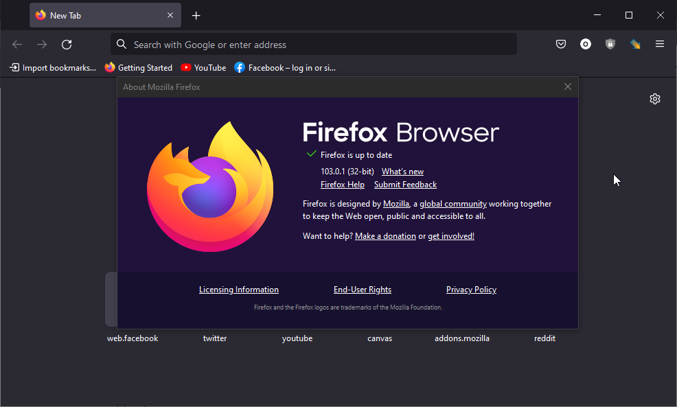 option firefox system requirements