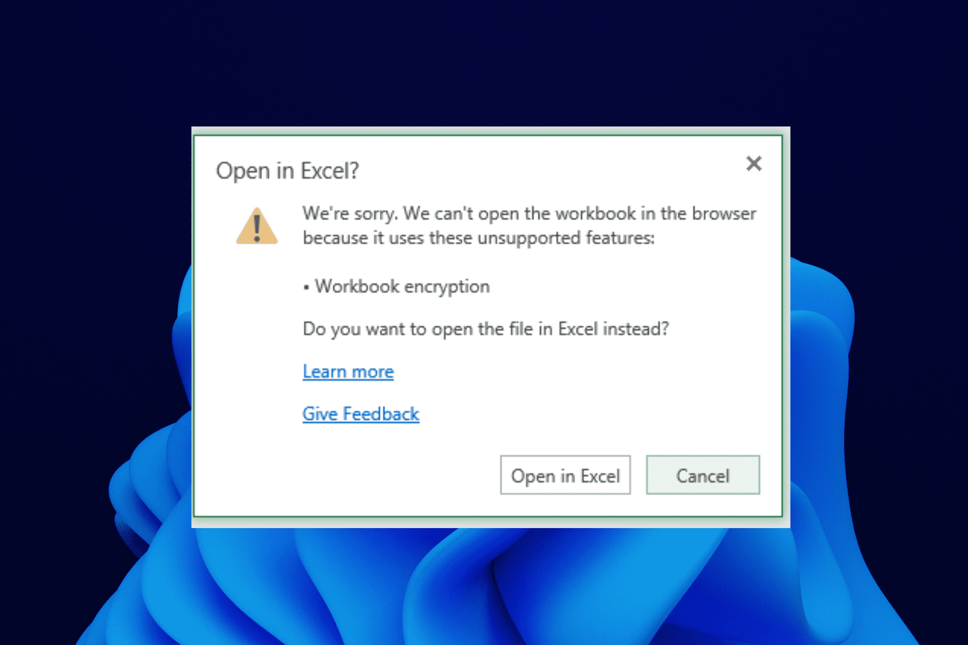 we're sorry we can't open the workbook in the browser