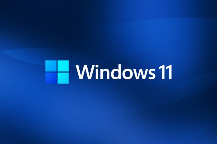 windows 11