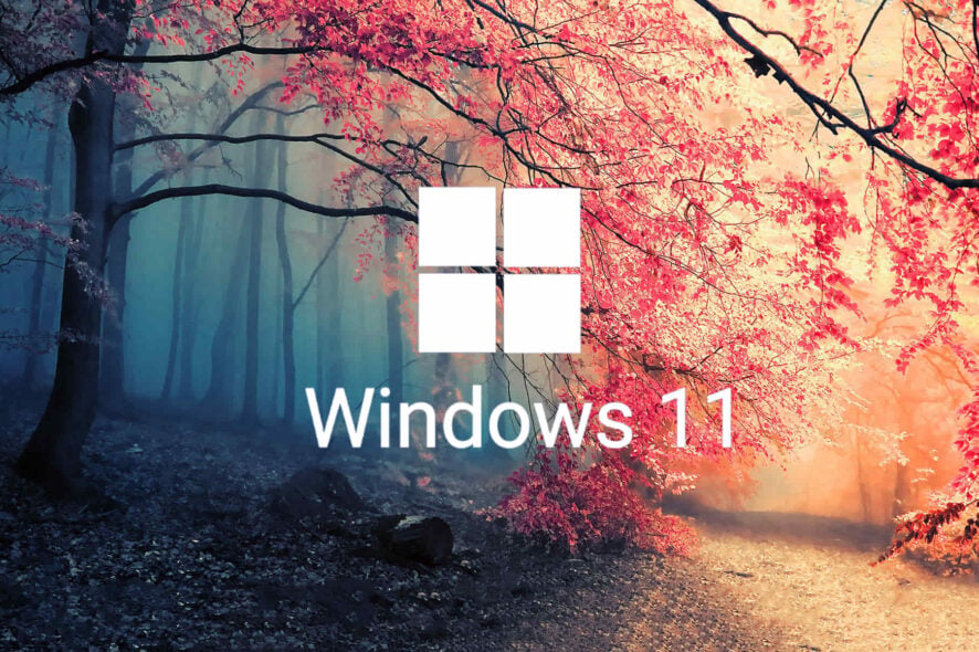 windows 11 kb