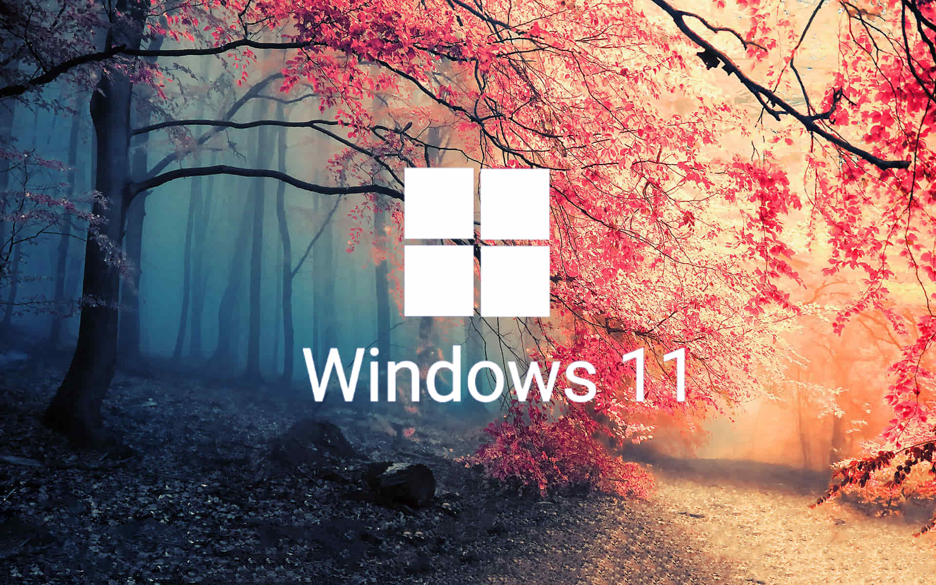 windows 11 kb