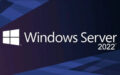windows 11 server