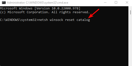 reset network and flush dns