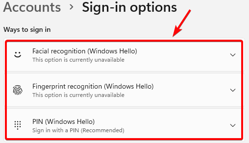 select windows hello sign in